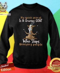 Funny My Spirit Animal Is A Grumpy Goat Who Slaps Annoying People Sweatshirt