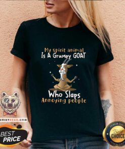 Funny My Spirit Animal Is A Grumpy Goat Who Slaps Annoying People V-neck