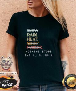 Grateful Nothing Stops The US Mail V-neck