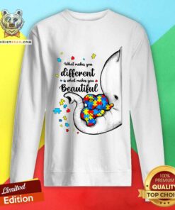 Lovely What Makes You Different Elephant Autism Sweatshirt