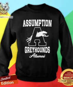 Original Assumption Greyhounds Sweatshirt - Design by Teeshirtbear.com