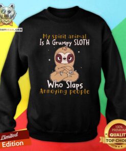 Pretty My Spirit Animal Is A Grumpy Sloth Who Slaps Annoying People Sweatshirt