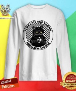 Cute I Like Black Cats And Racing And Maybe 3 People Sweatshirt