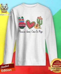 Cute Peace Love Cinco De Mayo 2021 Mexican Party Sweatshirt