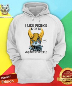Hot Colorful I Like Vikings And Cats And Maybe 3 People Hoodie
