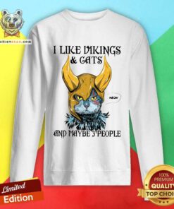 Hot Colorful I Like Vikings And Cats And Maybe 3 People Sweatshirt