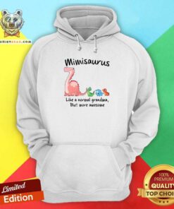 Lovely Dino Saurus Mimisaurus Like A Normal Grandma But More Awesome Hoodie