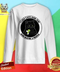 Lovely I Like Cats And Gin And Maybe 3 People Sweatshirt