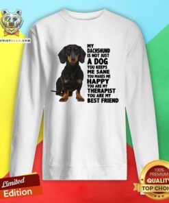 Lovely My Dachshund You Are My Therapist My Best Friends Sweatshirt