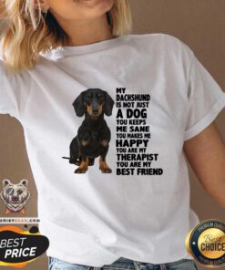 Lovely My Dachshund You Are My Therapist My Best Friends V-neck