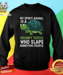 Lovely My Spirit Animal Is Grumpy Turtle Cartoon Sweatshirt