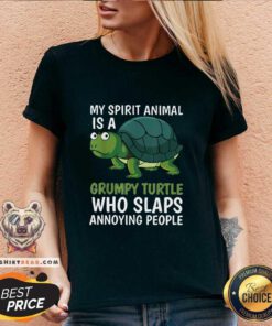 Lovely My Spirit Animal Is Grumpy Turtle Cartoon V-neck