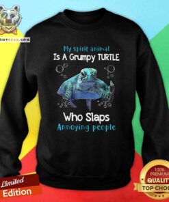 Premium My Spirit Animal Is A Grumpy Turtle Sweatshirt