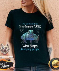 Premium My Spirit Animal Is A Grumpy Turtle V-neck