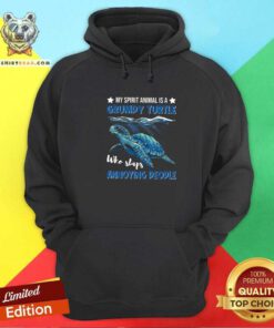 Pretty A Grumpy Turtle Who Slaps Annoyed Hoodie