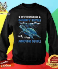 Pretty A Grumpy Turtle Who Slaps Annoyed Sweatshirt