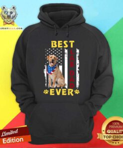 Best Lab Dad Ever American Flag Hoodie