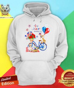Corgi Beautiful Trip 4th July Independence Day Hoodie