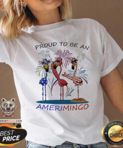 Flamingo 4th July Proud To Be American V-neck