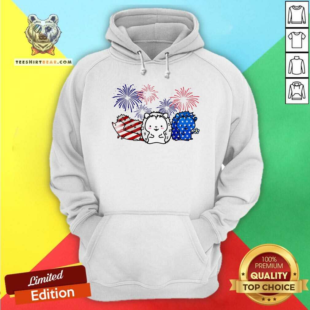 Hedgehog America Patriot Hoodie Hedgehog America Patriot Hoodie