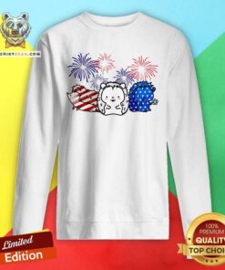 Hedgehog America Patriot Sweatshirt