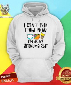 I Can Not Talk Right Now I Am Doing Grandma Hoodie