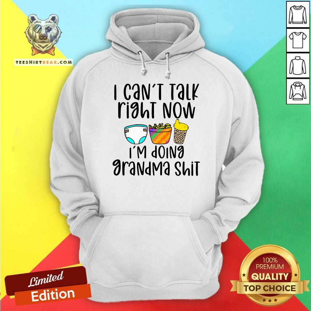 I Can Not Talk Right Now I Am Doing Grandma Hoodie I Can Not Talk Right Now I Am Doing Grandma Hoodie