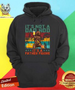It Is Not A Dad Bod It Is A Father Figure Bear Hoodie