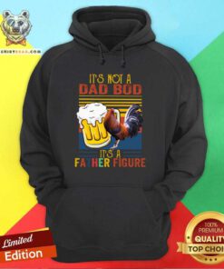 It Is Not A Dad Bod It Is A Father Figure Beer Chicken Hoodie