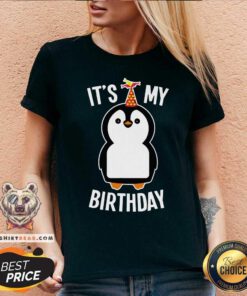 Lovely It Is My Birthday Penguin V-neck