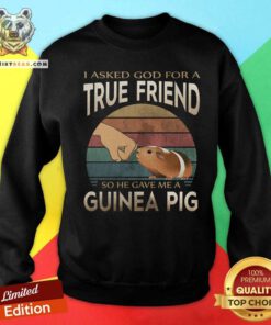 True Friend So He Gave Me A Guinea Pig Vintage Sweatshirt