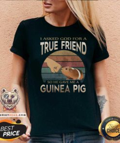 True Friend So He Gave Me A Guinea Pig Vintage V-neck
