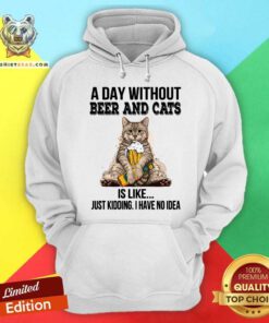 A Day Without Beer And Cats Just Kidding Hoodie