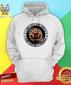 I Like Cats And Vinyls And Maybe 3 People Hoodie
