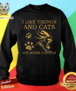 I Like Vikings And Cats And Maybe 3 People Sweatshirt