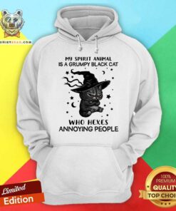 My Spirit Animal Is A Grumpy Black Cat Hexes Hoodie