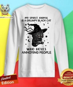 My Spirit Animal Is A Grumpy Black Cat Hexes Sweatshirt