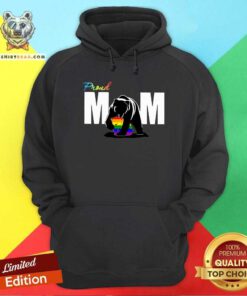 Proud Mom Bear LGBT Hoodie