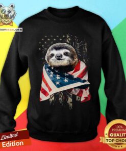Sloth Cool American Flag Sweatshirt
