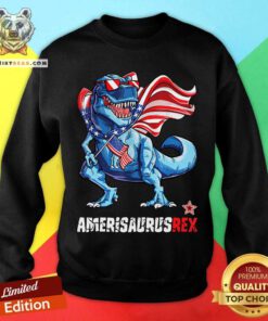 Trex American Flag Amerisaurusrex Sweatshirt