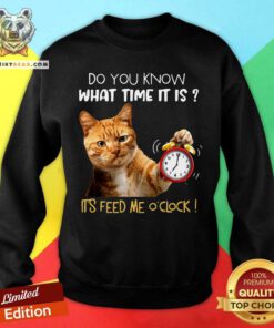 Do You Know What Time It Is It Is Feed Me Oclock Cat Sweatshirt