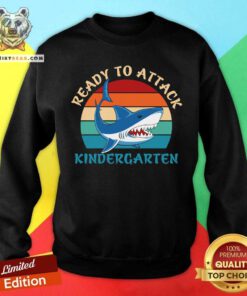 Shark Ready To Attack Kindergarten Vintage Retro Sweatshirt