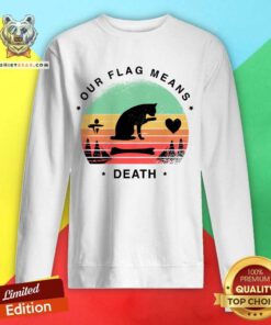 Cat Our Flag Means Death Vintage Sweatshirt