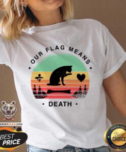 Cat Our Flag Means Death Vintage V-neck