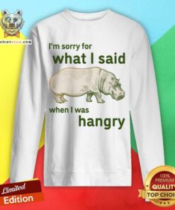 I'm Sorry For What I Said When I Was Hangry Sweatshirt