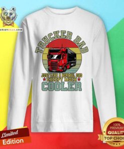 Trucker Dad Just Like A Normal Dad Execept Much Cooler Sweatshirt