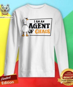 I Am An Agent Of Chaos Sweatshirt