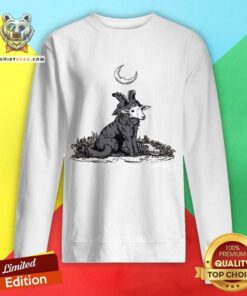 Madilyn Mei Sheep Wolf sweatshirt