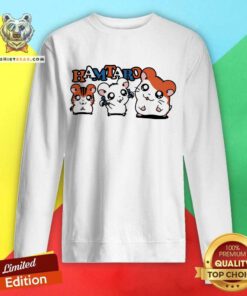 Mamono World Hamtaro Pimpin sweatshirt