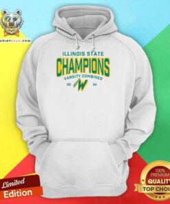 Illinois State Champions Varsity Combined 2024 hoodie